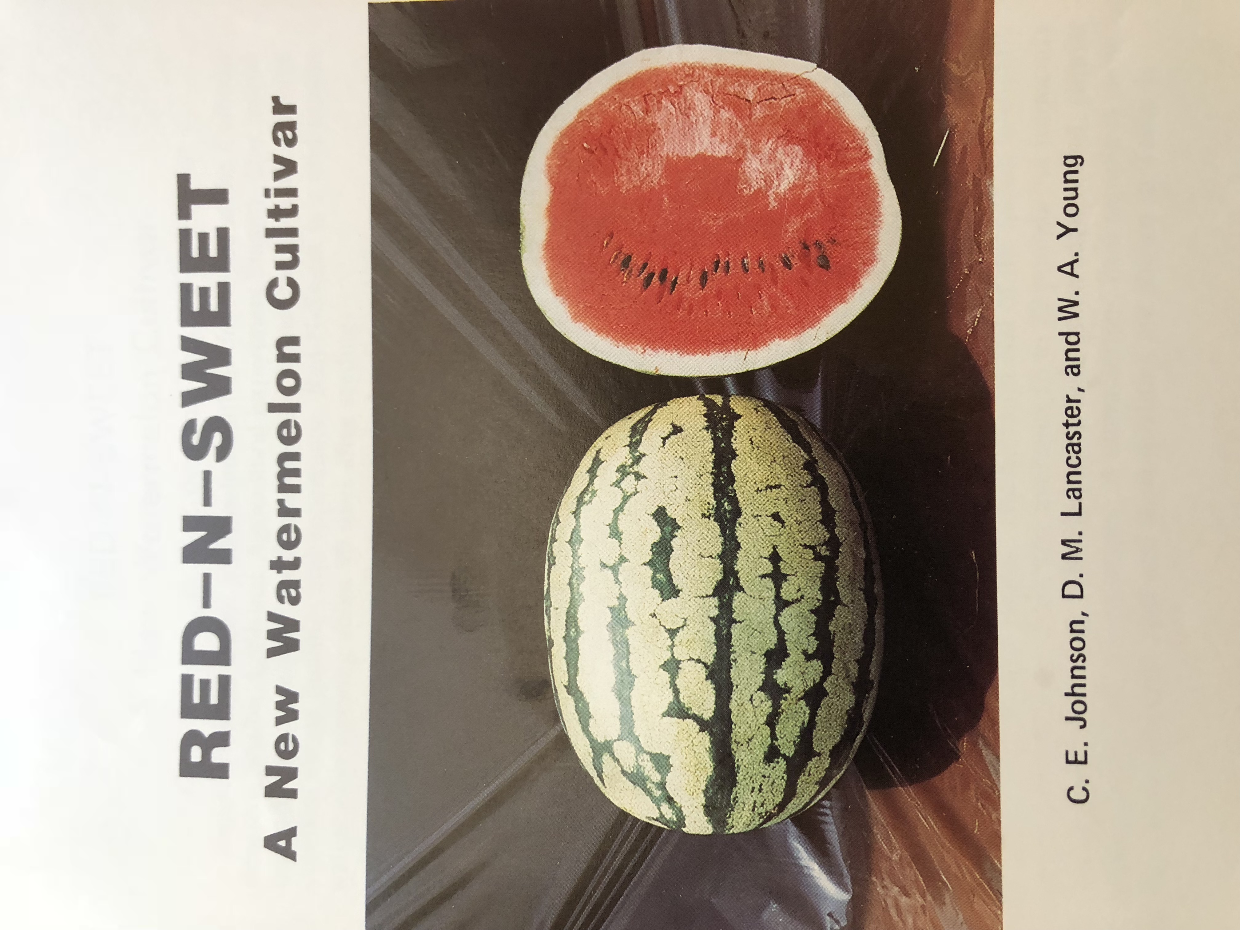Red n sweet watermelon.